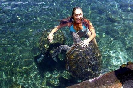Swimming with Turtles